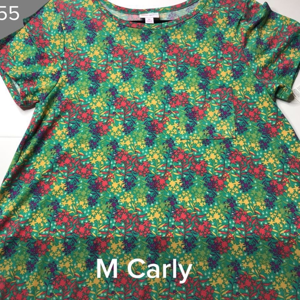 NWT Medium Carly